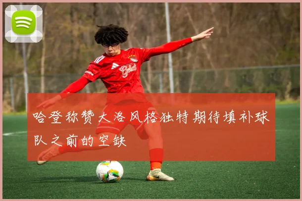哈登称赞大洛风格独特期待填补球队之前的空缺